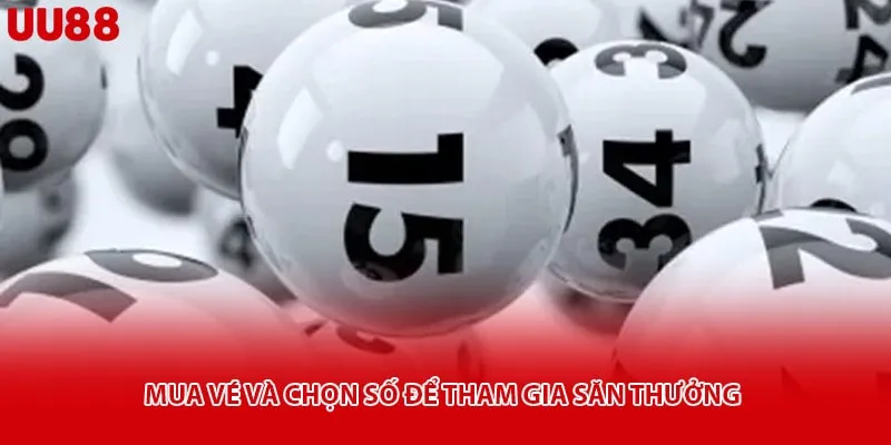 Mua vé và chọn số để tham gia săn thưởng